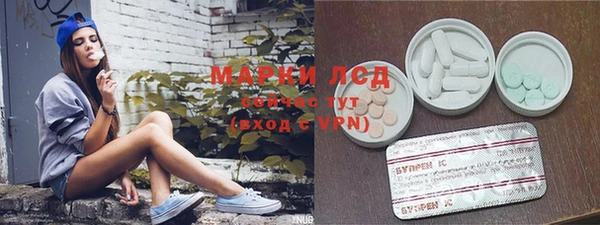 молекула духа Арсеньев