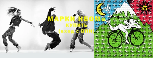 молекула духа Арсеньев