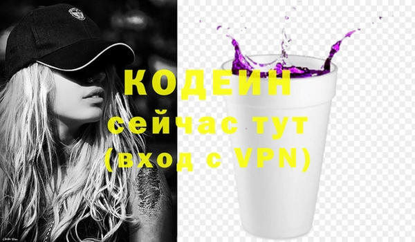 молекула духа Арсеньев