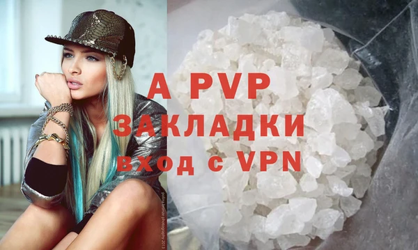 молекула духа Арсеньев