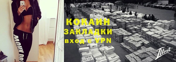 молекула духа Арсеньев