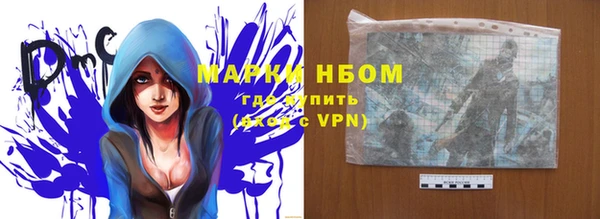 молекула духа Арсеньев