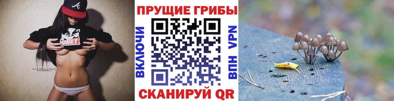 купить наркотики сайты  Лермонтов  Псилоцибиновые грибы мицелий 